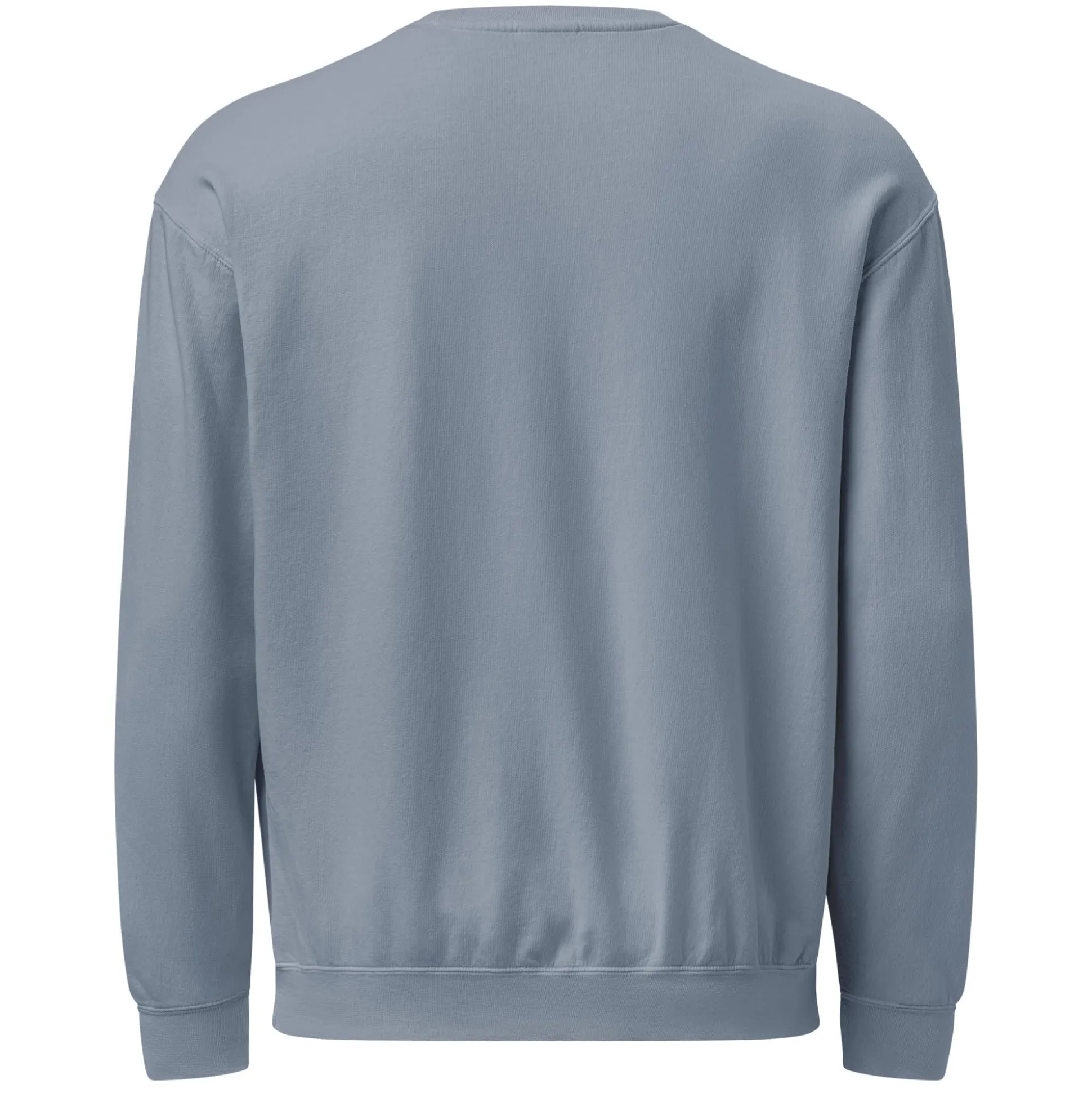 Barbie Artist Series Robert Best Blue Sweatshirt