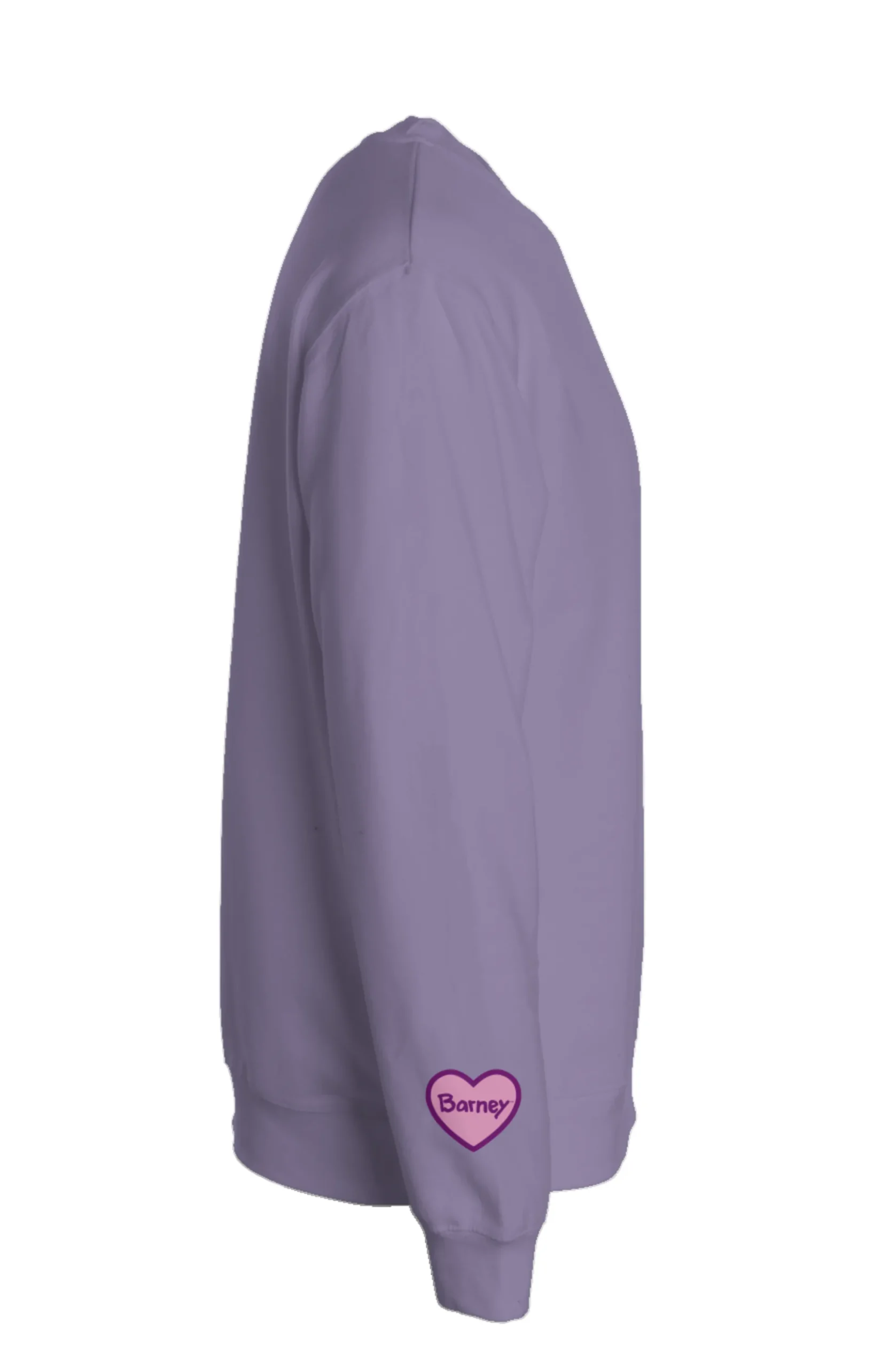 Barney Love Club Sweatshirt